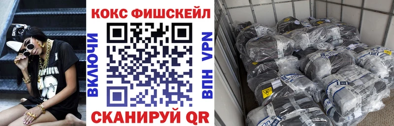 как найти наркотики  Талица  COCAIN Fish Scale 