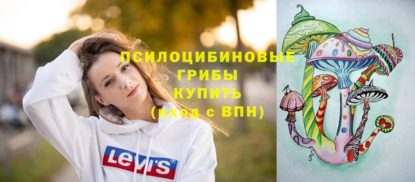 молекула духа Алзамай