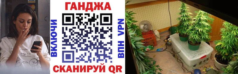 сколько стоит  Талица  Каннабис гибрид 